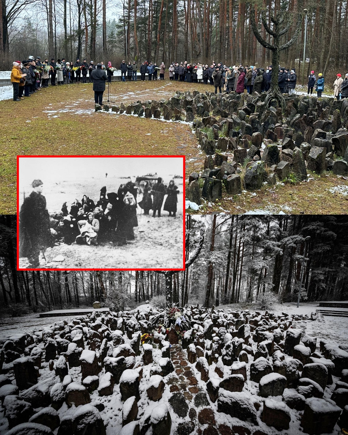 25,000 Jews Vanished in a Frozen Forest – What Happened at Rumbula in Just Two Days?