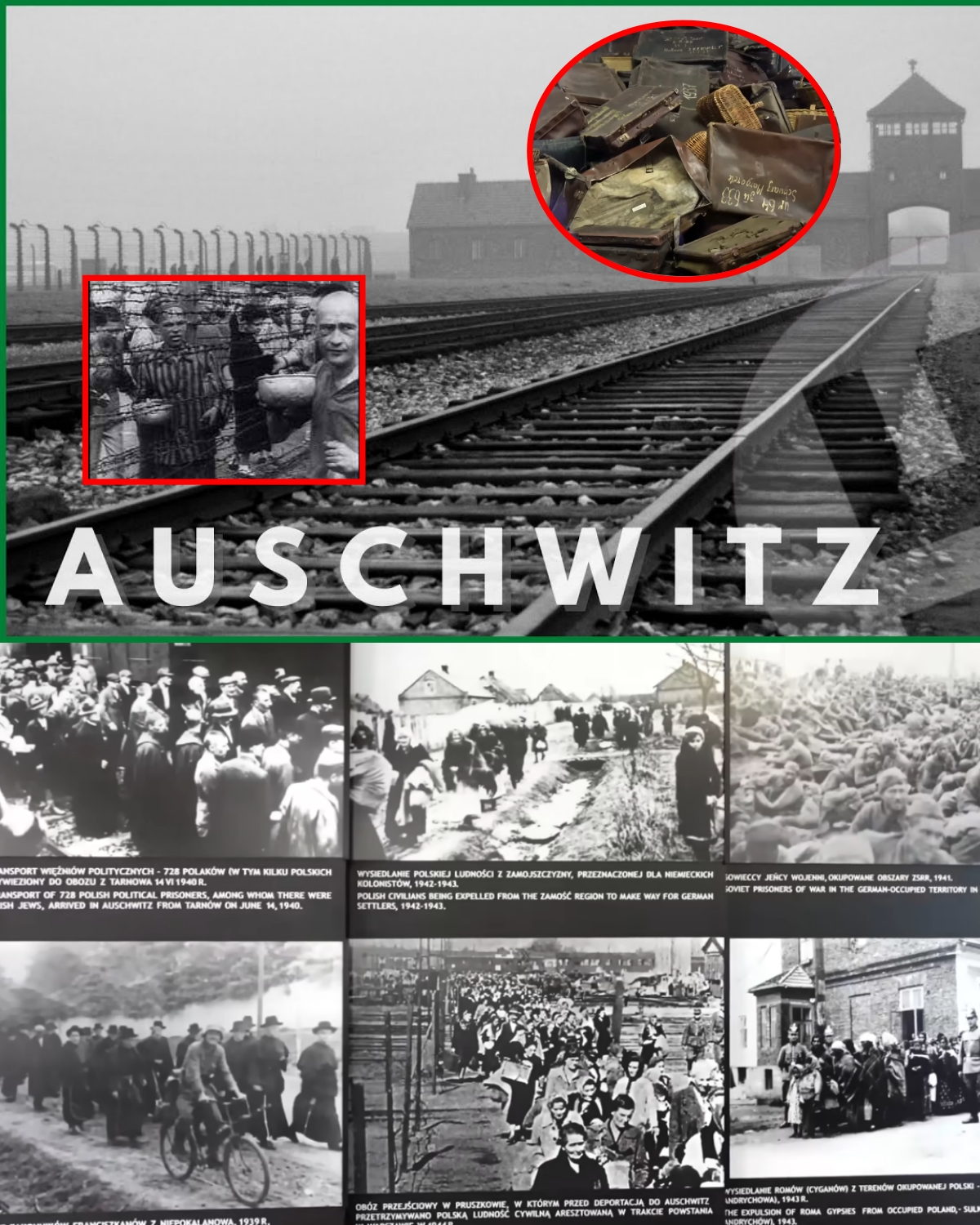 AUSCHWITZ: The Complete DISTURBING Tour | WARNING: Actual footage
