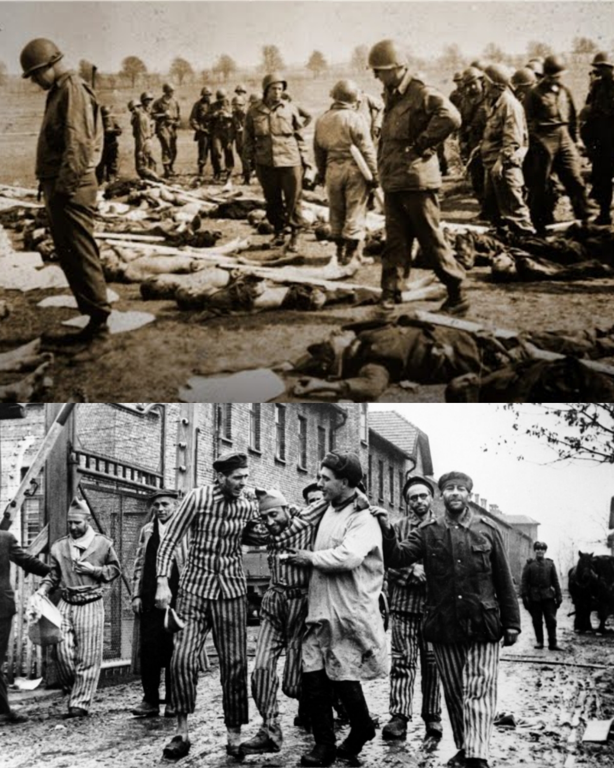 What happened when the Nazi CONCENTRATION CAMPS were DISCOVERED?