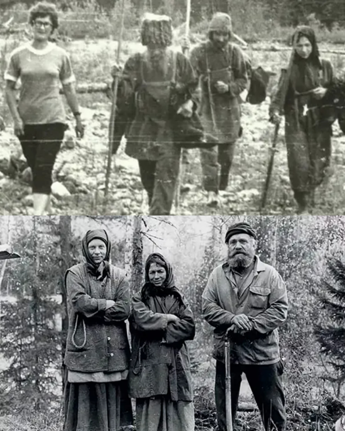The family has been isolating themselves in the deep forest since 1936, not knowing that World War II has ended