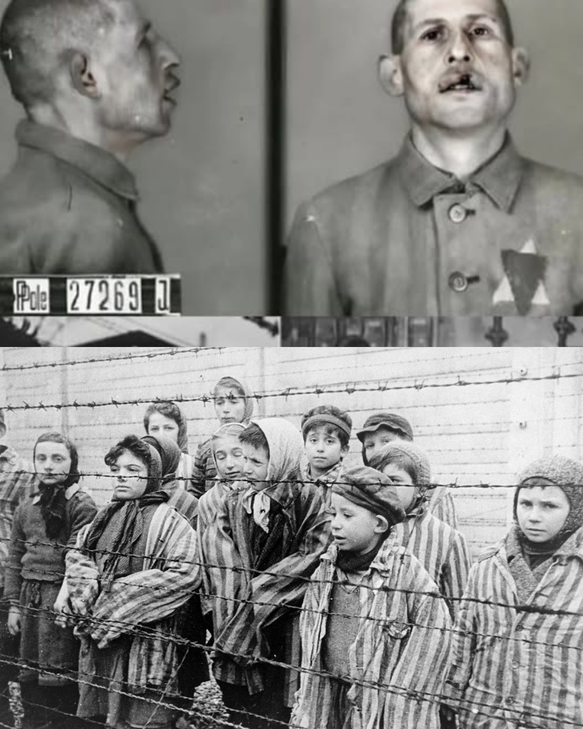 Only 17 Days in Auschwitz—And It Destroyed Everything: A Survivor’s Untold Hell