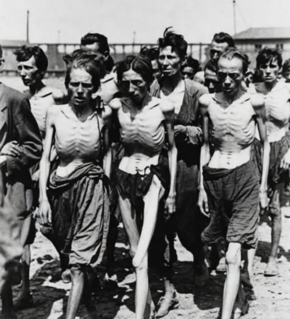 When the Camp Gates Opened, Survivors Did Something So Small—Yet So Radical—that It Redefined Freedom