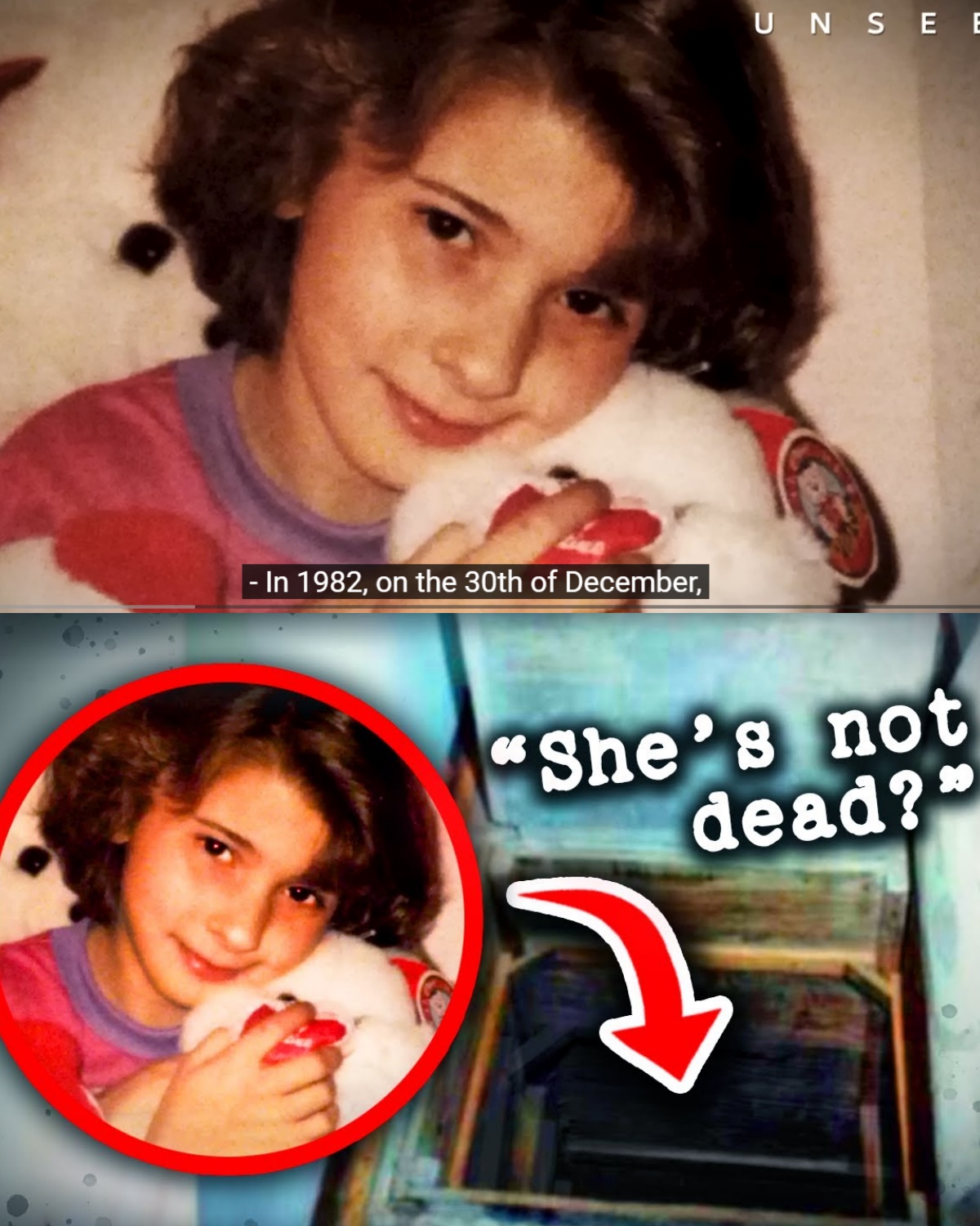 The Girl in The Wall – The Disturbing Case of Katie Beers