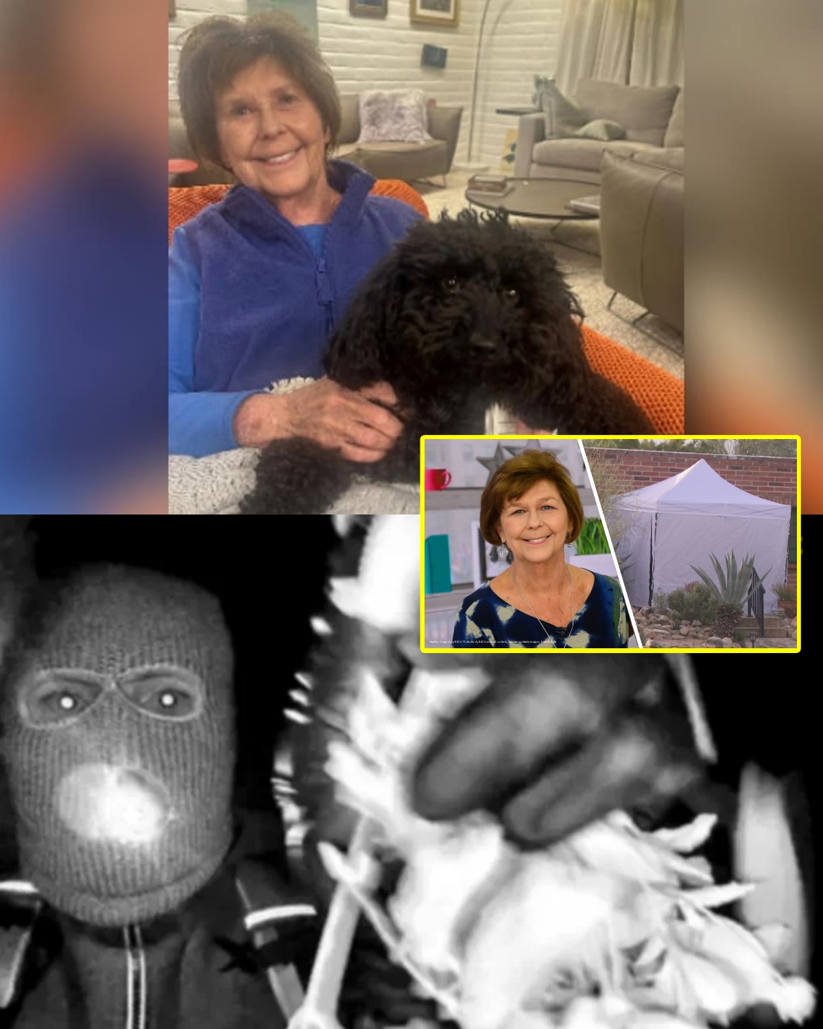 Final Attempt to Help: Ominous Bitcoin Email Sent to TMZ in Nancy Guthrie Case