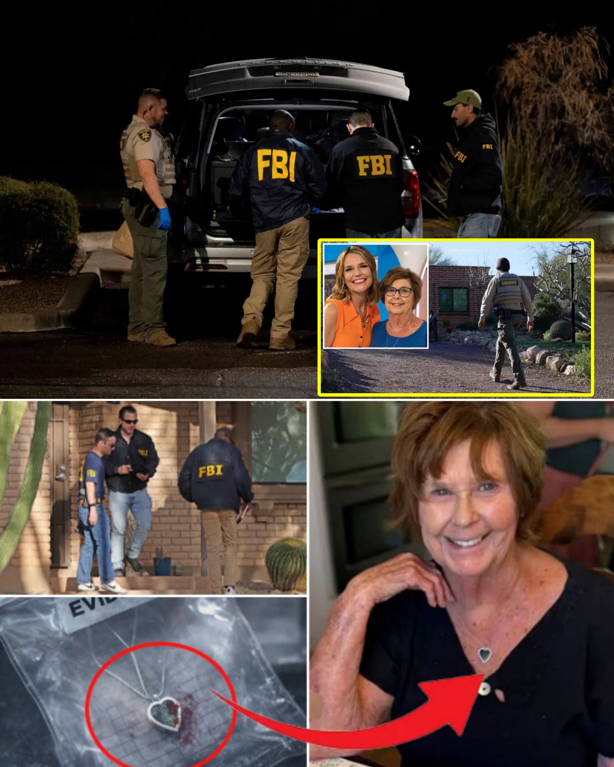 Blue Necklace Spotted Near Home—Then Vanished Before Police Arrived: What Happened in Those Missing Minutes?