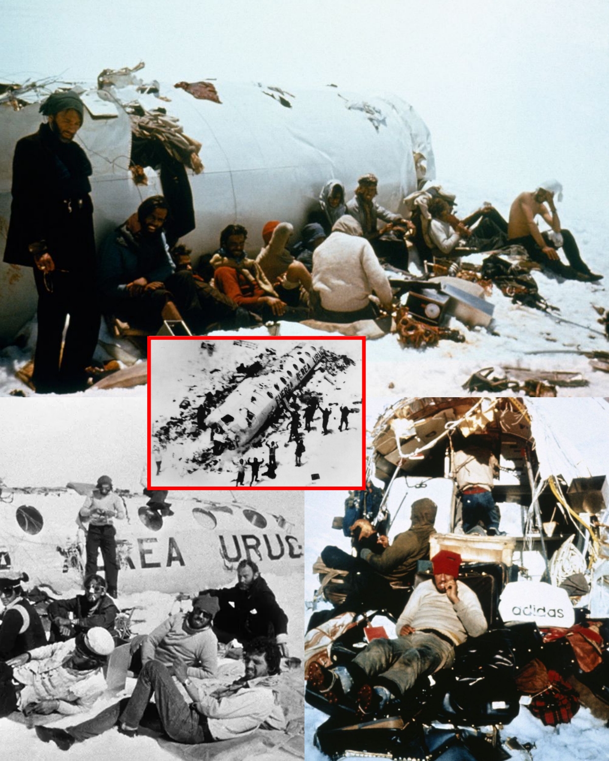 72 Days in the Andes: The Unthinkable Choice That Saved 16 Lives
