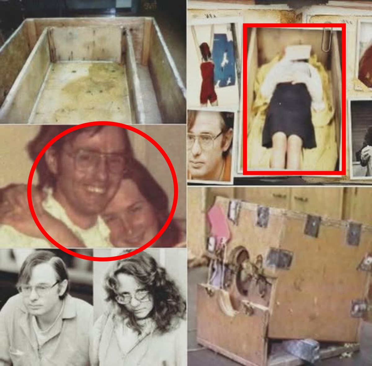 7 Years in a Coffin-Like Box: The Lie Called “The Company” That Kept Her Trapped